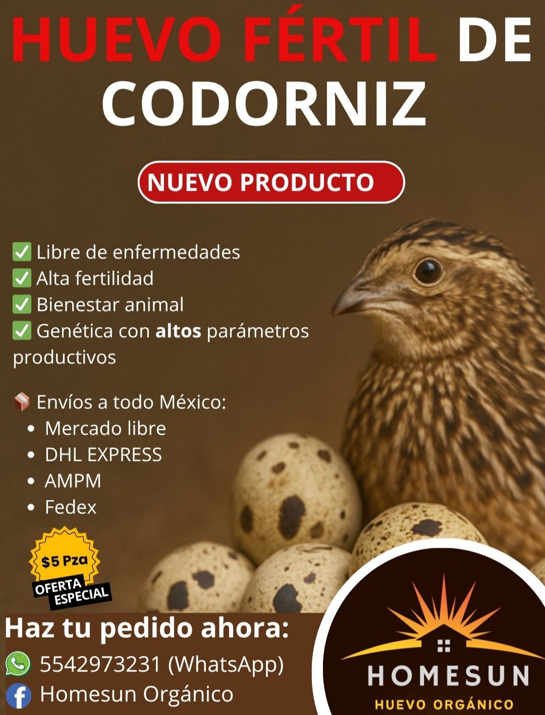20 pzas Huevo Fértil de codorniz