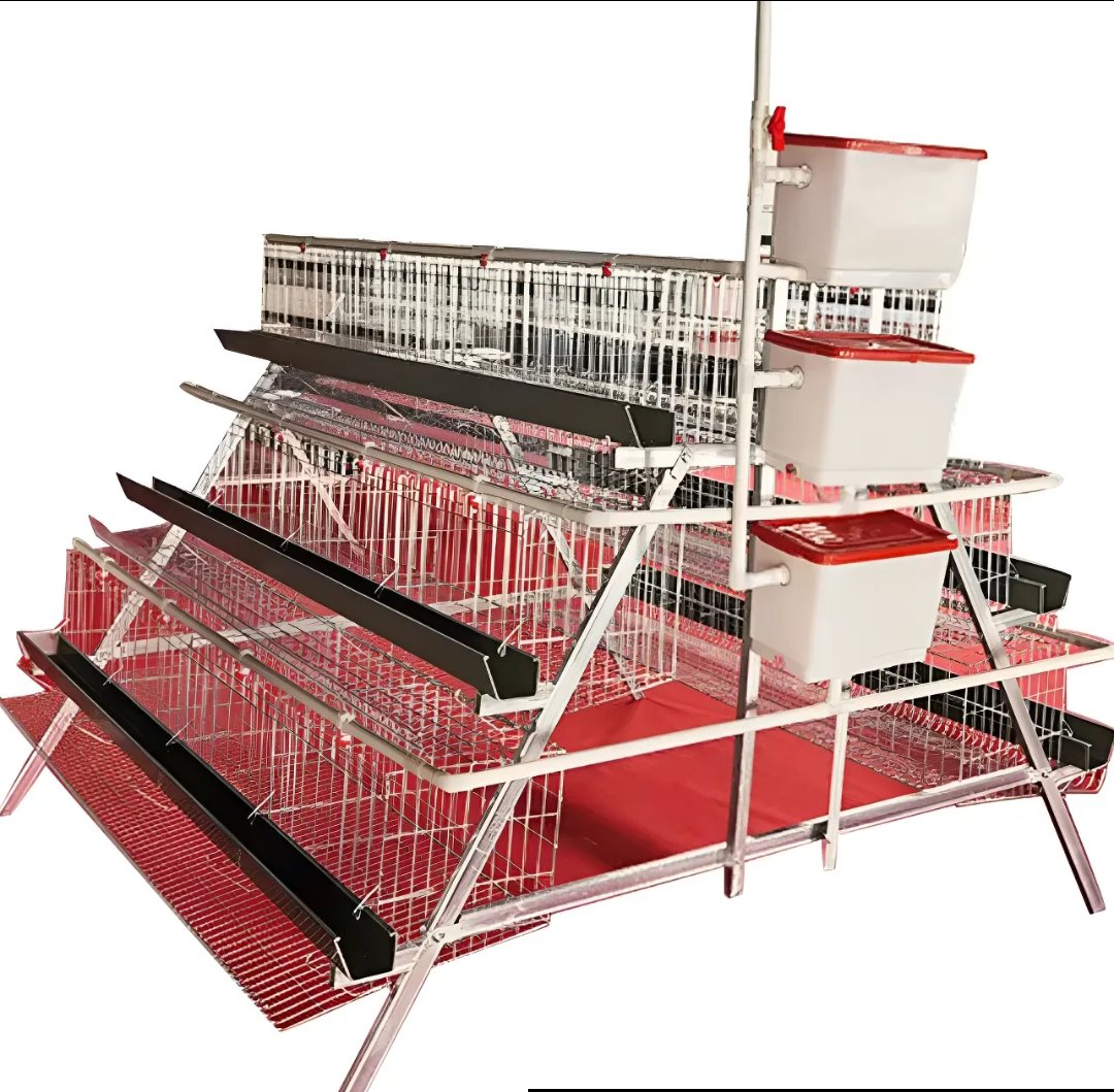 2026/01/1000099858-1.jpg Jaula para 240 gallinas ponedoras de uso rudo