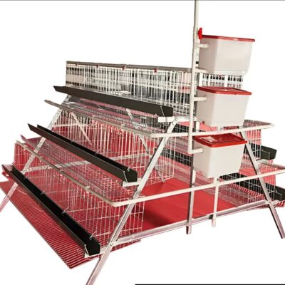 Jaula para 120 gallinas ponedoras Uso rudo