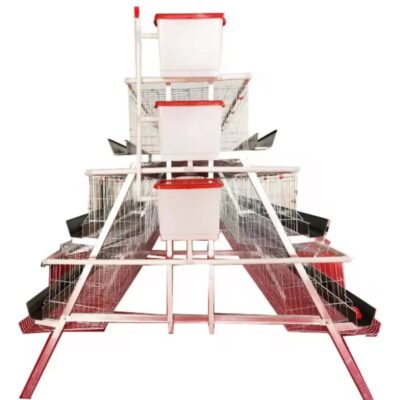 Jaula para 240 gallinas ponedoras de uso rudo