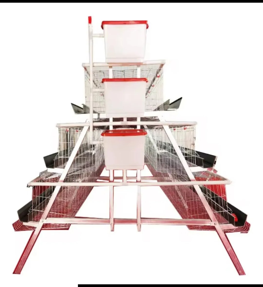 Jaula para 120 gallinas ponedoras Uso rudo