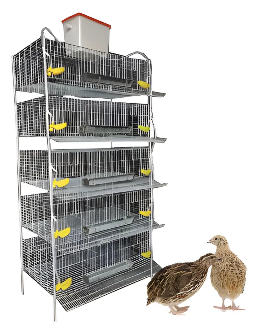 Jaula para 250 codornices. Uso rudo