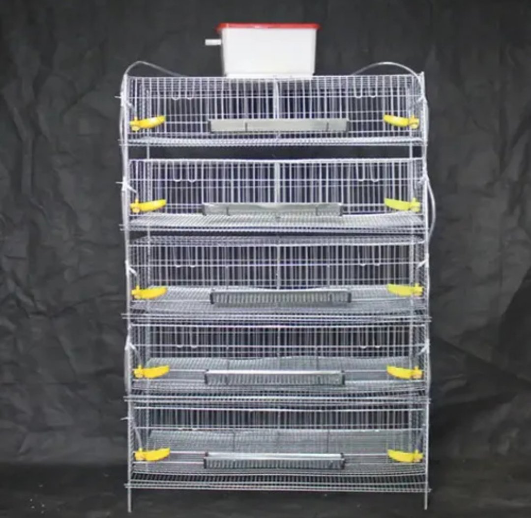 Jaula para 250 codornices. Uso rudo