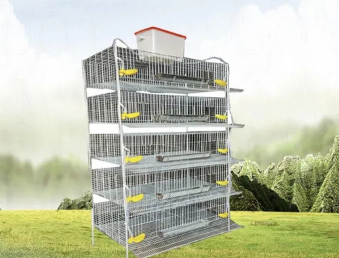 Jaula para 250 codornices. Uso rudo